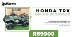 Honda TRX 250 tm Fourtrax | The Diff & Chain leisure