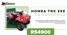 Honda TRX 250 TM Fourtrax | The Diff & Chain leisure