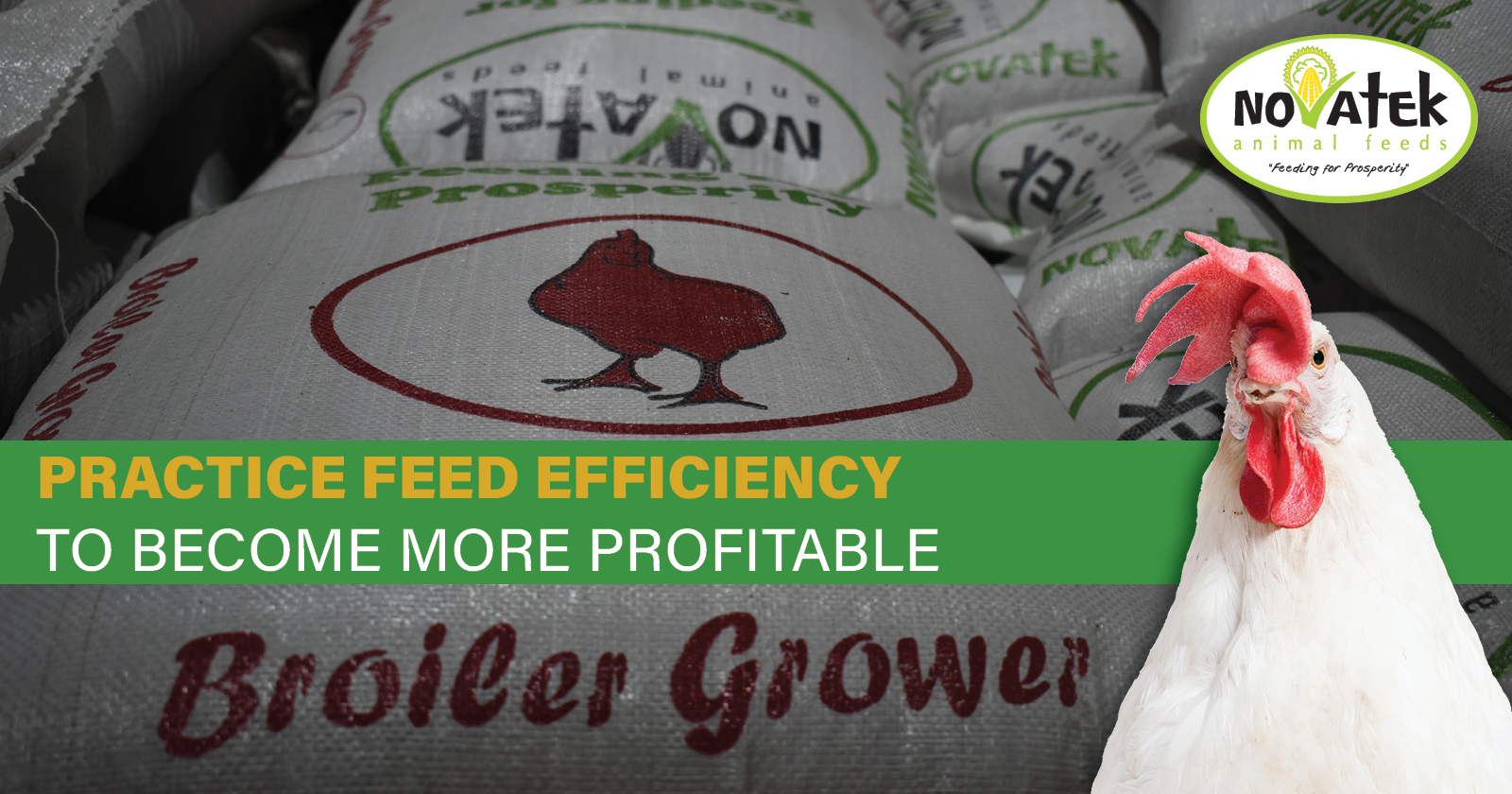 Broiler grower | Novatek Animal Feeds