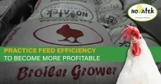 Broiler grower | Novatek Animal Feeds