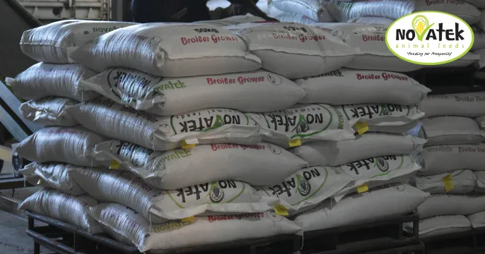 Broiler grower | Novatek Animal Feeds