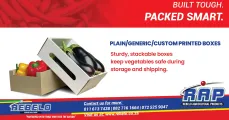 Plain/generic/custom printed boxes | Perfect packaging for your product | Rebelo Agricultural Group