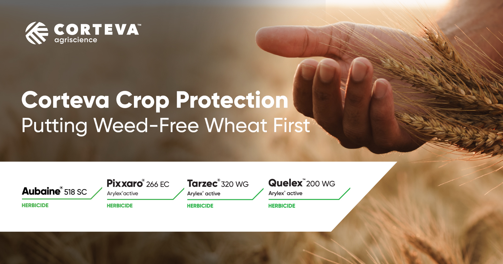 Putting Weed-Free Wheat First! | Corteva Agriscience™