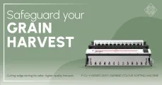 Safeguard your grain harvest | Deep learning colour sorting machines | AgroTech South Africa