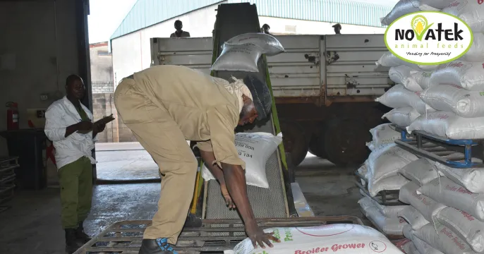 Broiler grower | Novatek Animal Feeds