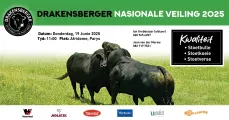 Drakensberger Nasionale Veiling | 19 Junie 2025 11:00 | Afridome, Parys