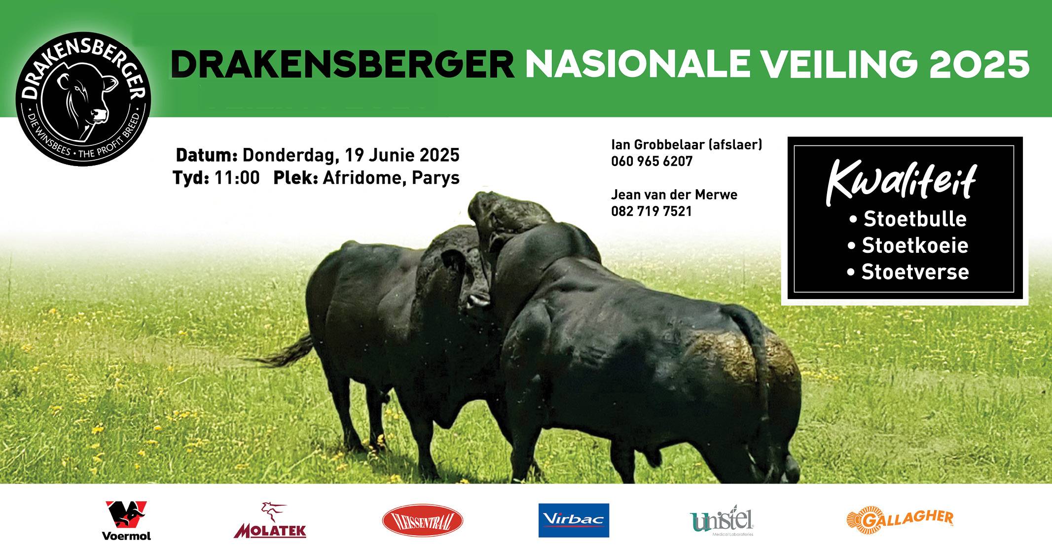 Drakensberger Nasionale Veiling | 19 Junie 2025 11:00 | Afridome, Parys