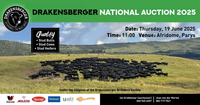Drakensberger Nasionale Veiling | 19 Junie 2025 11:00 | Afridome, Parys