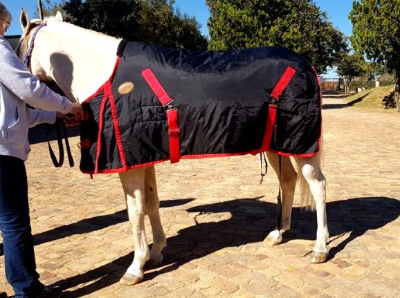 Rain Sheet (Various sizes) | Horse and Leisure