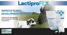 Lactipro FLX Calf | Improves Rumen development in calves | Four Lakes