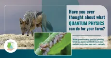 Have you ever thought about what quantum physics can do for your farm?
