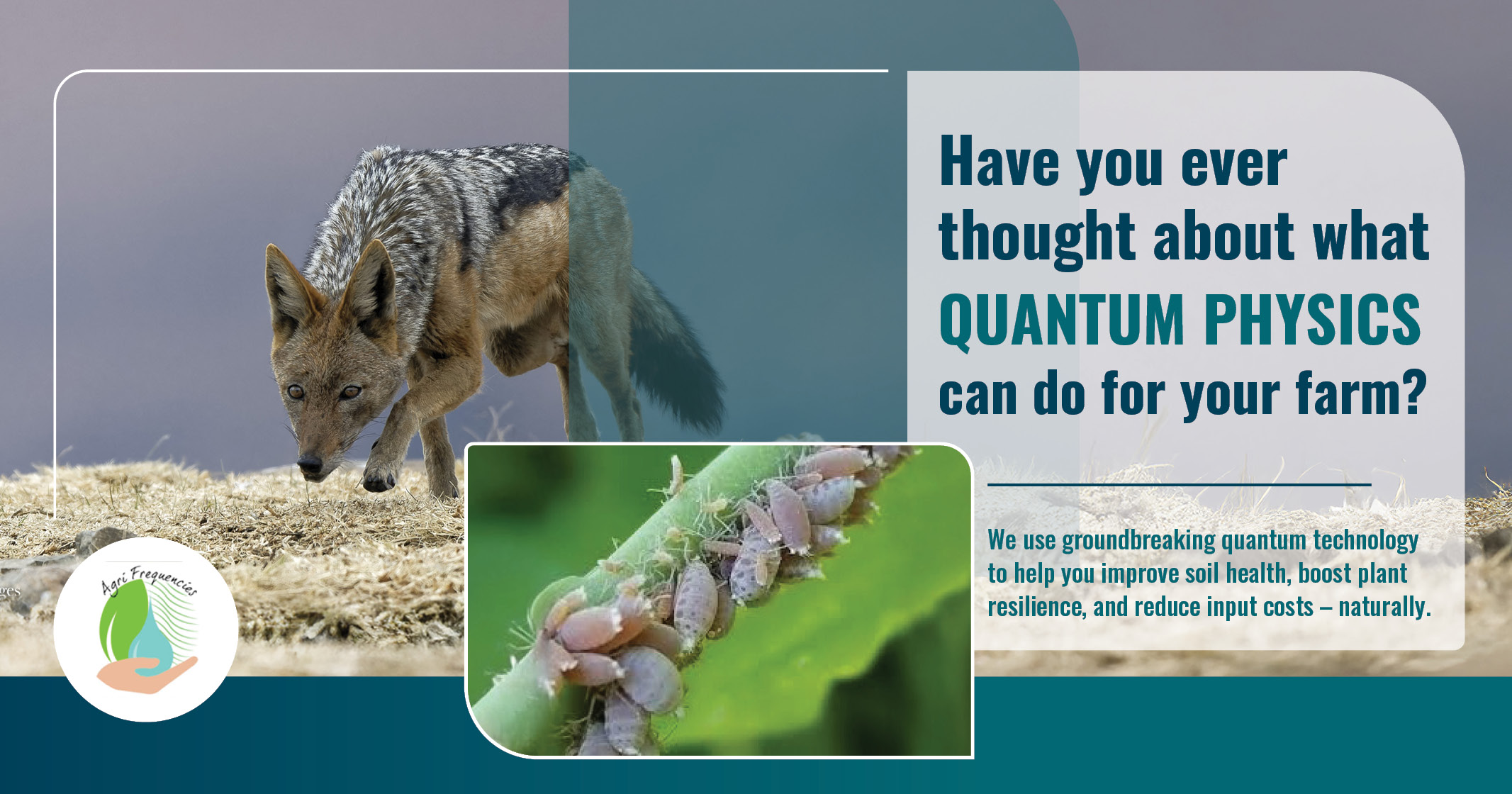 Have you ever thought about what quantum physics can do for your farm?
