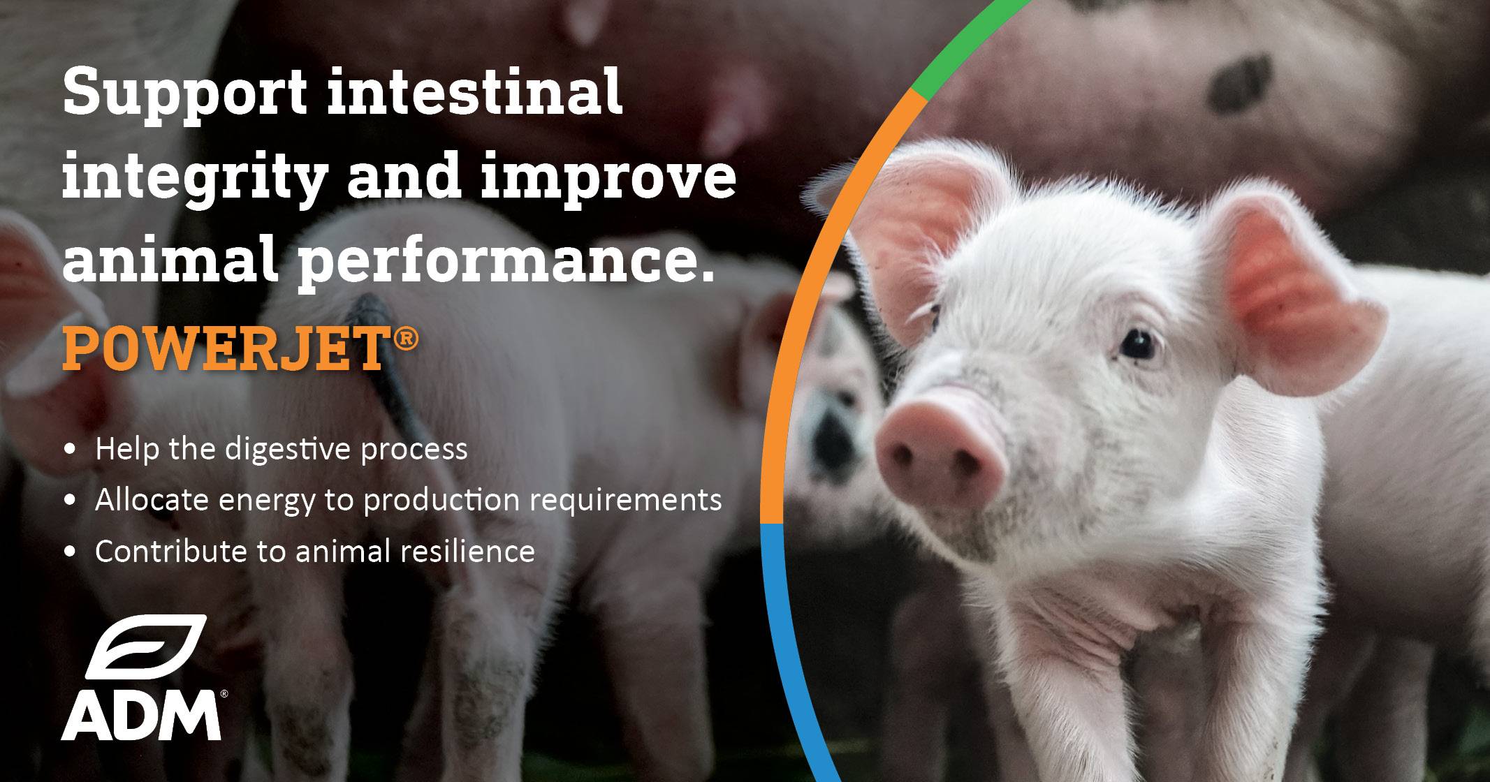 POWERJET®: Support piglet intestinal integrity and performance | ADM Nutrition