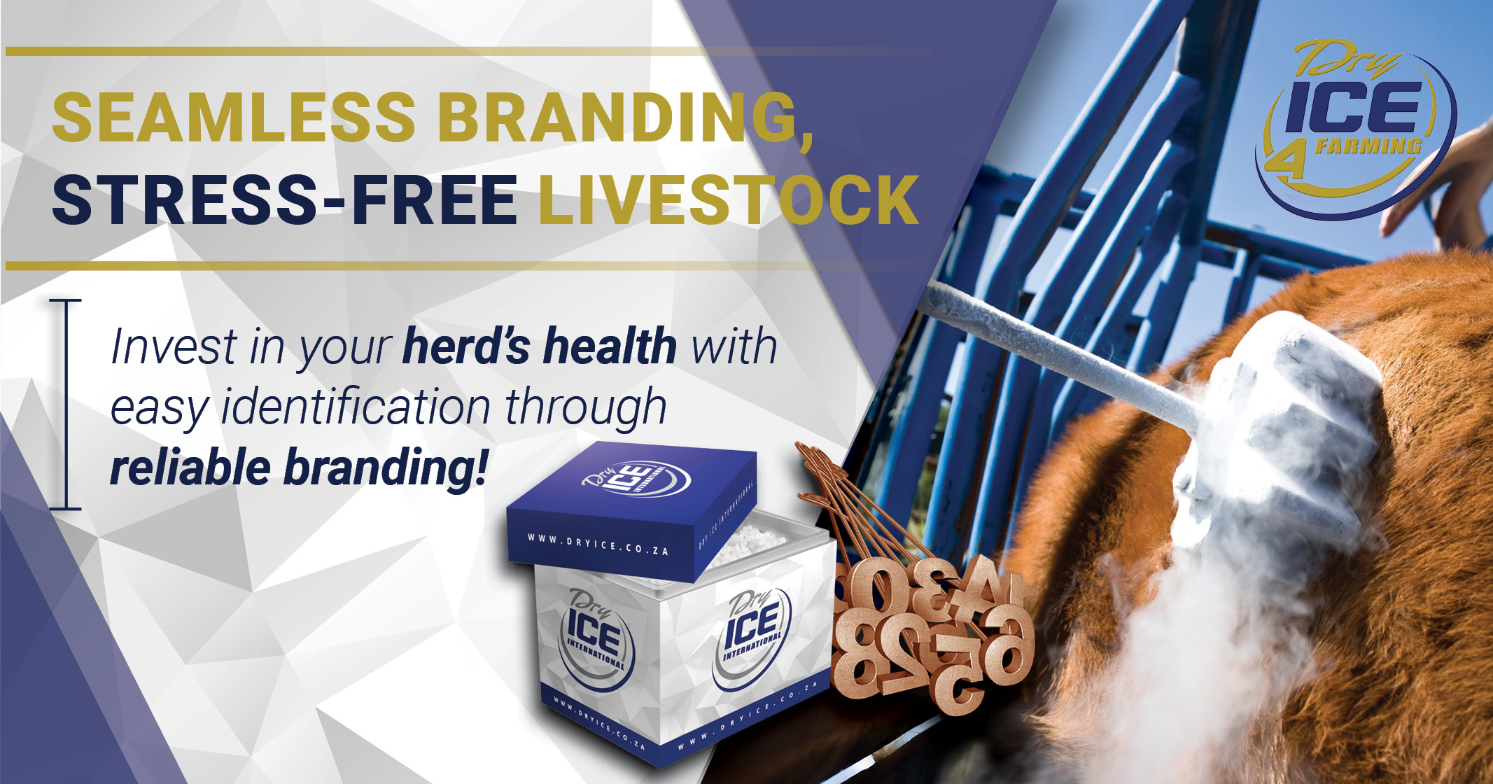 Seamless branding, stress-free livestock | Dry Ice 4 Farming