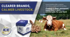 Clearer Brand | Calmer Livestock | Dry Ice 4 Farming