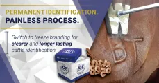 Permanent identification | Painless process | Dry Ice 4 Farming