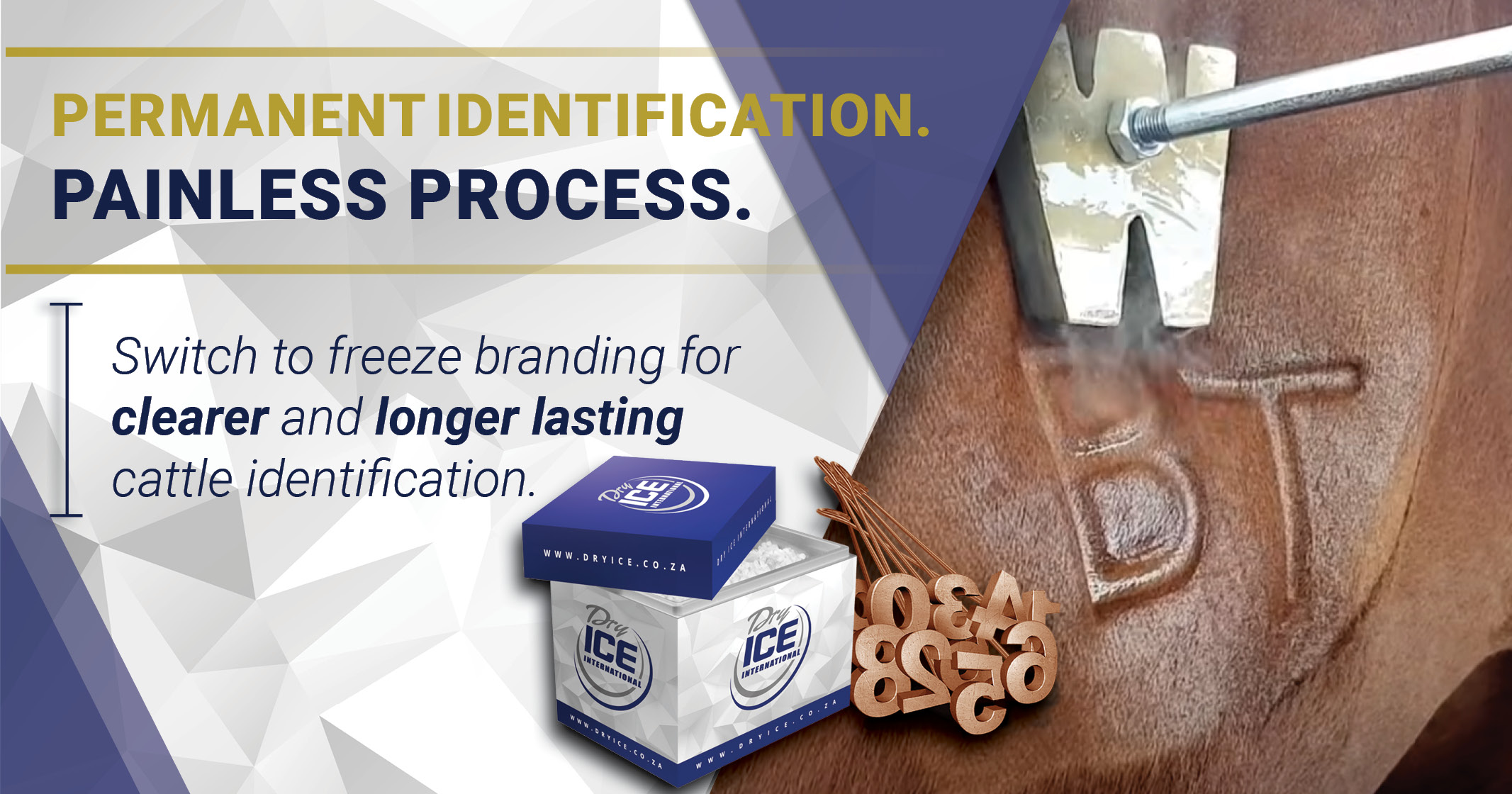 Permanent identification | Painless process | Dry Ice 4 Farming