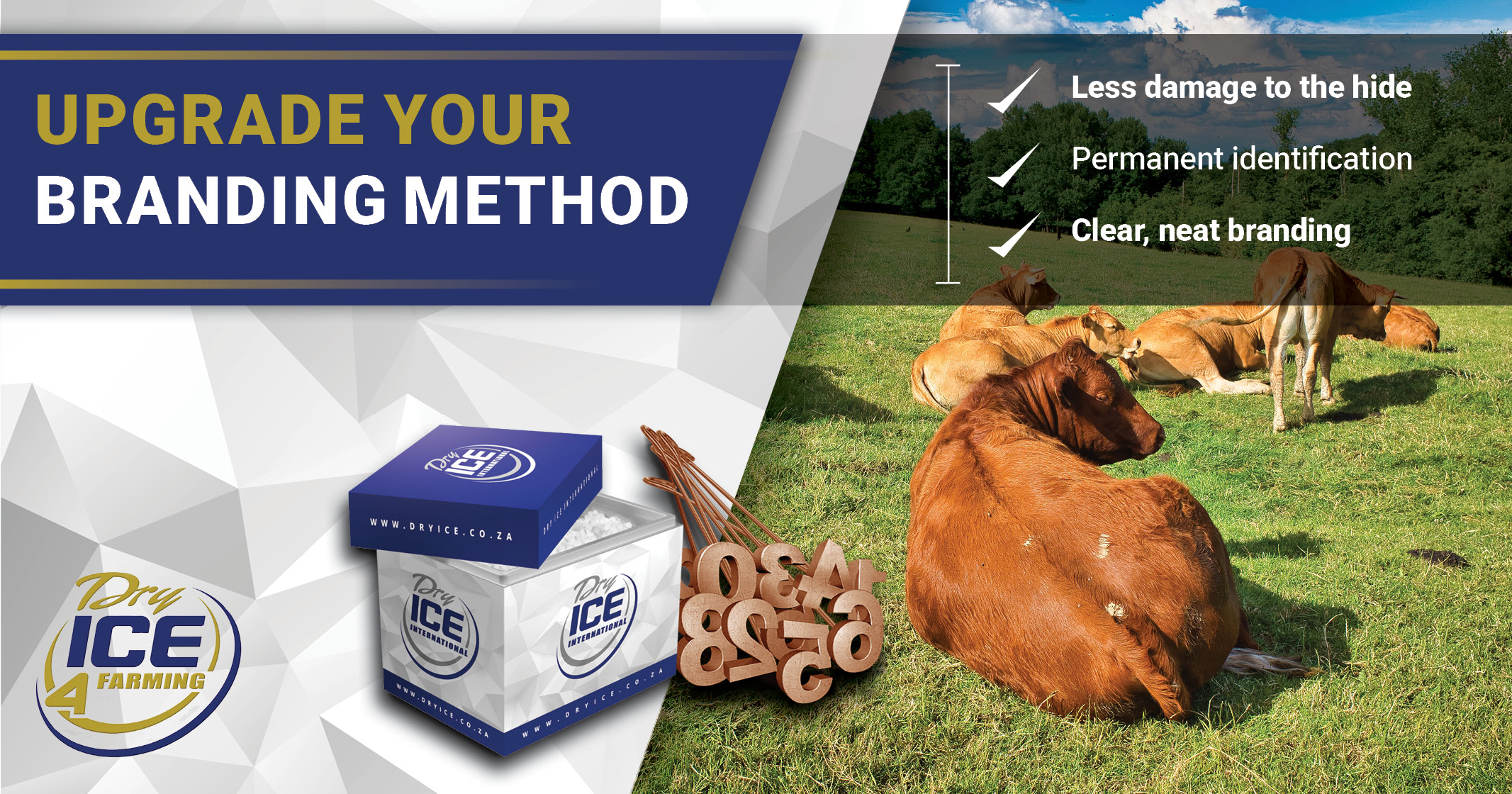 Upgrade your branding method! | Dry Ice 4 Farming