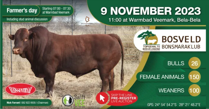 Bosveld Bonsmaraklub | 9 November 2023 | 11:00 | Bela-Bela