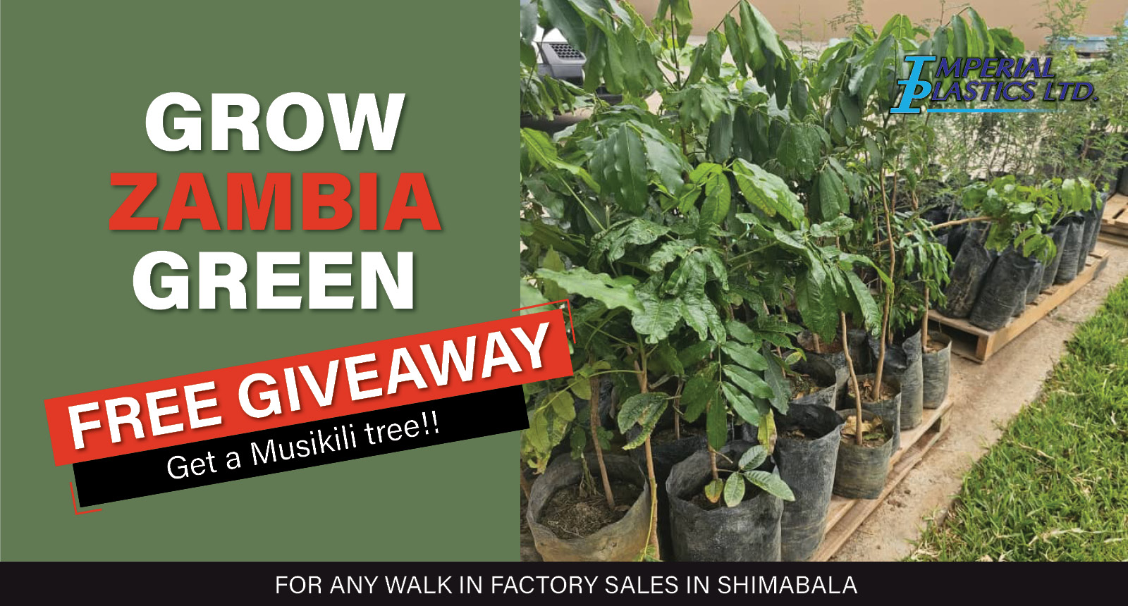 Grow Zambia Green | Free giveaway! | Imperial Plastics