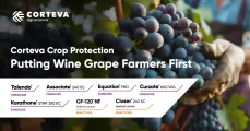 Corteva Crop Protection - Putting wine grape farmers first | Corteva Agriscience™