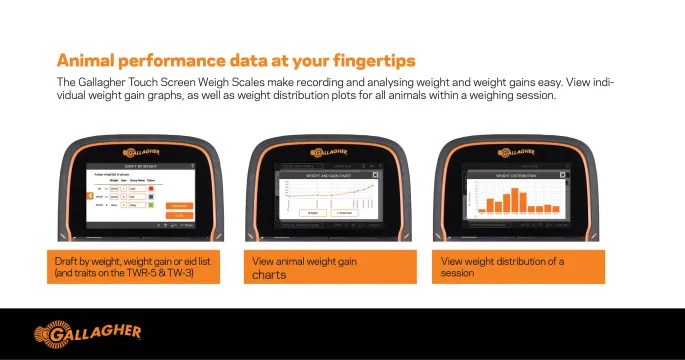 Weighscales range | Gallagher