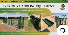 Livestock Handling Equipment | The Millennium Group