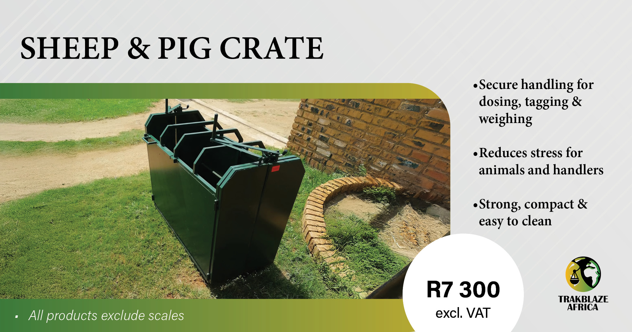 Sheep & Pig Crate | The Millennium Group