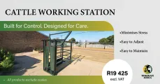 Cattle Working Station  | The Millennium Group