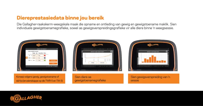 Weegskale-reeks | Gallagher