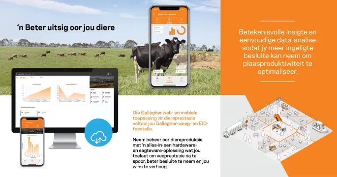 Weegskale-reeks | Gallagher