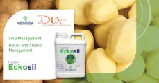 Eckosil | DuxAgri
