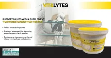 Vitalytes  | Support calves with a supplement | Four Lakes