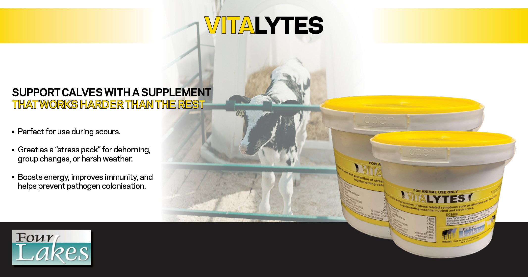 Vitalytes  | Support calves with a supplement | Four Lakes