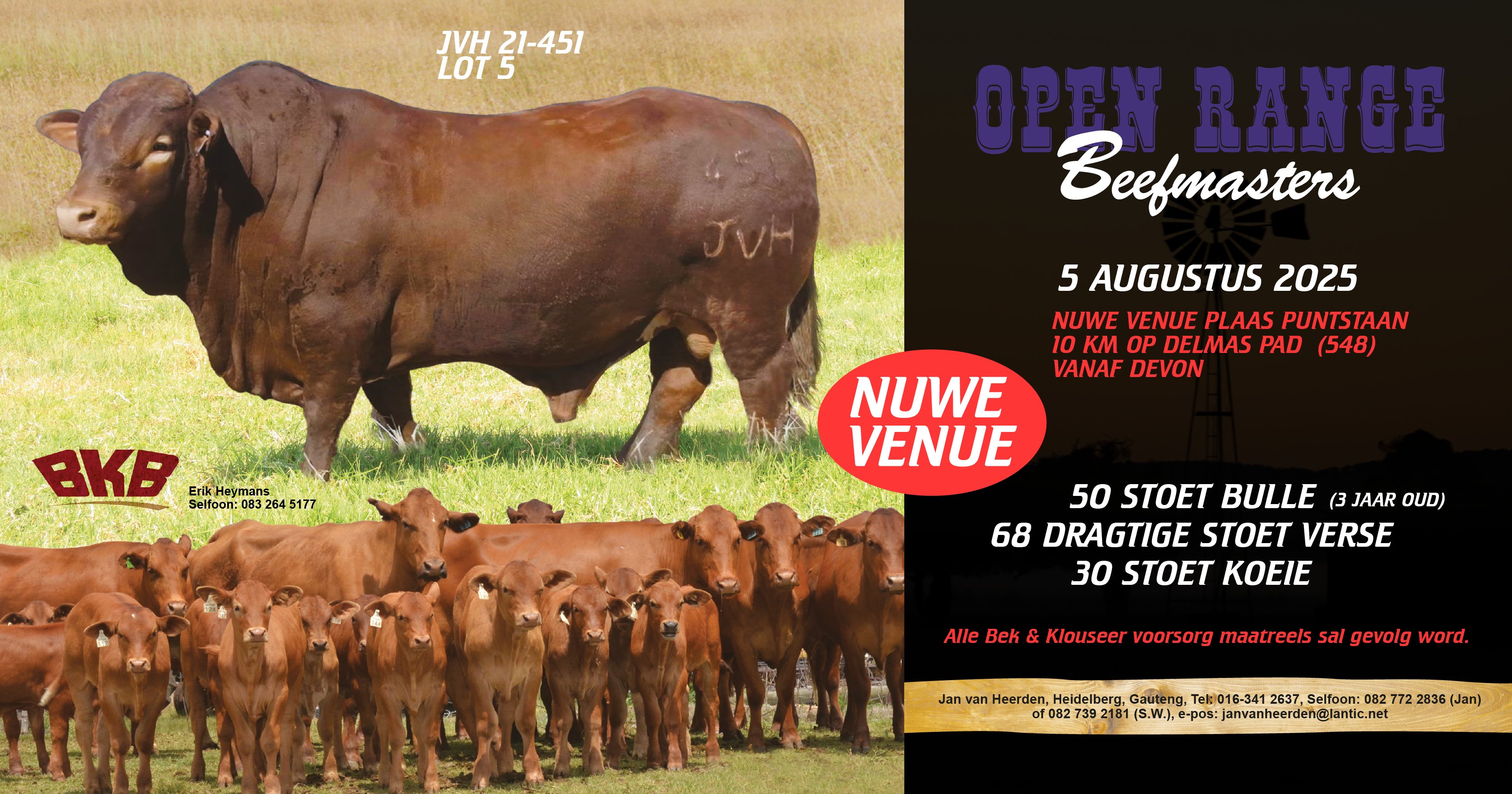 Open Range Beefmasters se 11de Produksieveiling | 05 Augustus 2025 | Plaas Puntstaan