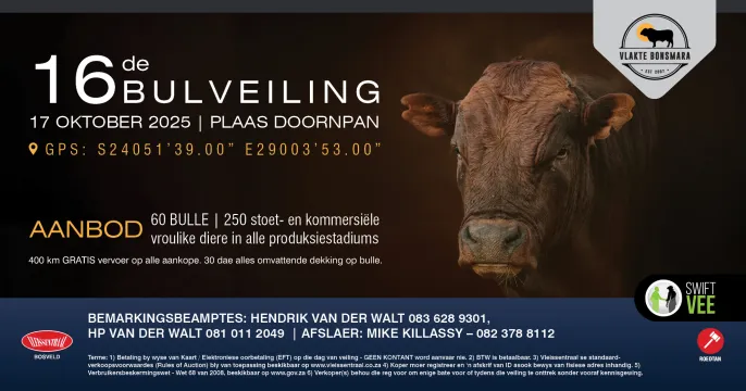 Vlakte Bonsmara 16th Bull Auction | 17 October 2025 | Doornpan, Roedtan