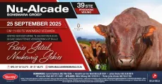 Nu-Alcade 39ste Produksieveiling | 25 September 2025 | 11:00  | Warmbad Veemark