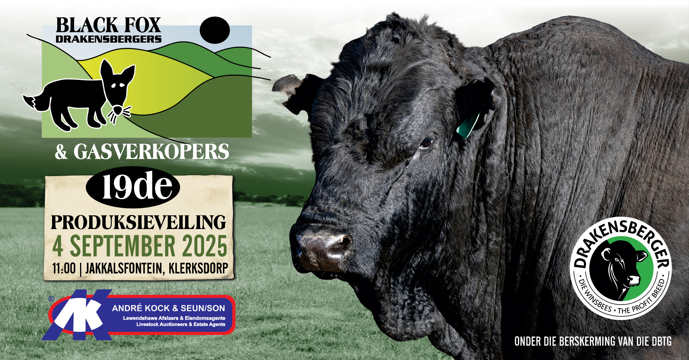 Choose your champion | Black Fox Drakensbergers | 4 September 2025 | 11:00