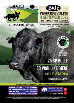 Choose your champion | Black Fox Drakensbergers | 4 September 2025 | 11:00