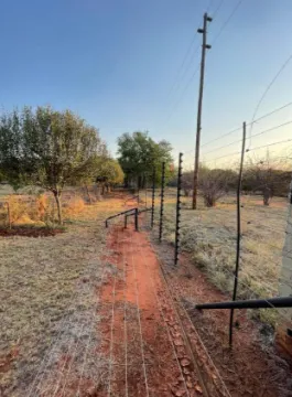 11,500m² Farm for sale in Kameeldrift East | Casa Dynamica Properties