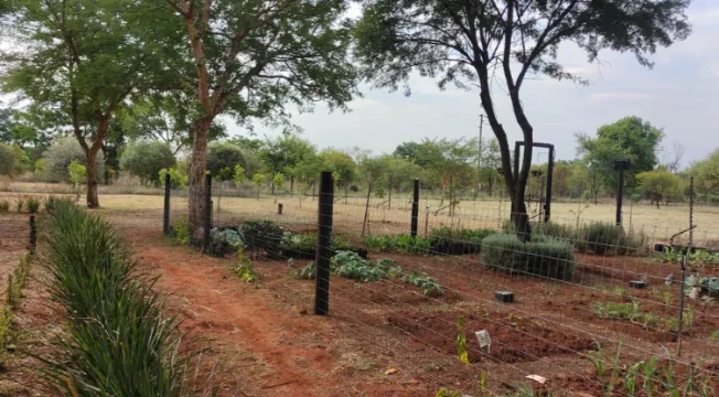 11,500m² Farm for sale in Kameeldrift East | Casa Dynamica Properties