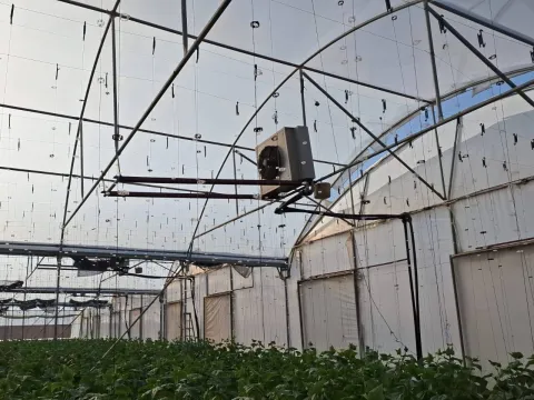 Going Concern: High- Tech Hydroponic Cucumber Farm for Sale