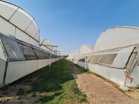 Going Concern: High- Tech Hydroponic Cucumber Farm for Sale