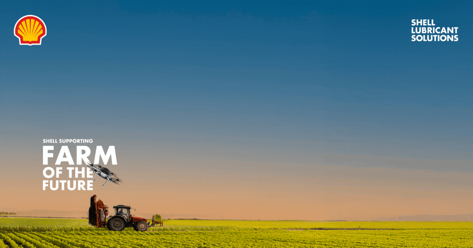 Driving | Planting | Success | Shell