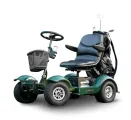 Eagle single seater golf cart | Revaro