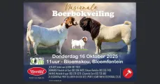 Nasionale Boerbokveiling | 16 Oktober 2025 | 11:00 | Bloemfontein Skougronde