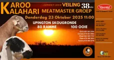 Karoo Kalahari Meatmaster 38ste Groep Veiling | 23 Oktober 2025 | 11:00 | Upington Skougronde