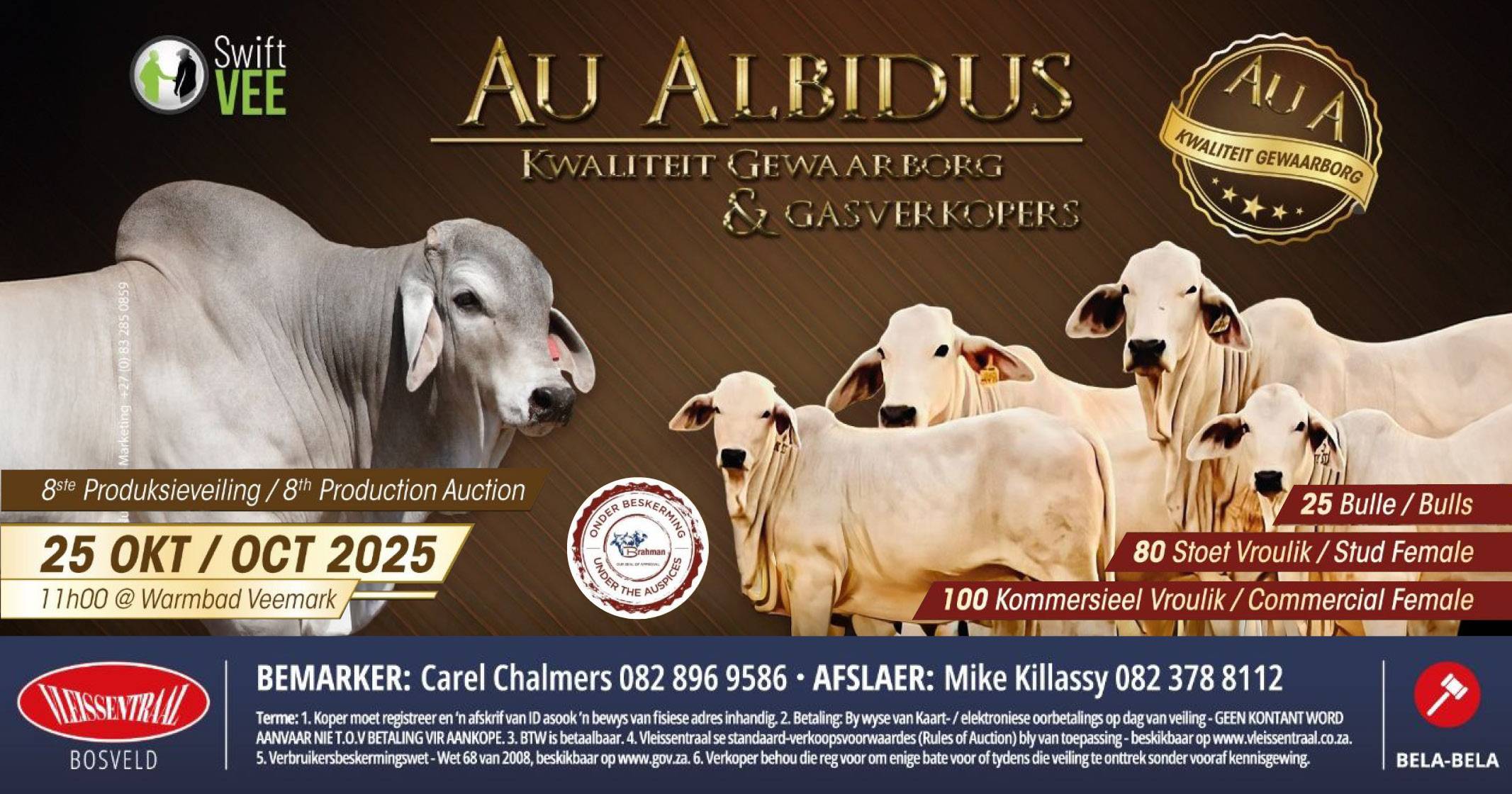 Au Albidus & Gasverkopers 8ste Brahman Produksieveiling | 25 Oktober 2025 | 11H00 | Warmbad Veemark