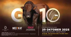 G10 Bonsmara Produksieveiling 2025 | 29 Oktober 2025 | 11:00 | Plaas Lilla Flanders, Aliwal Noord