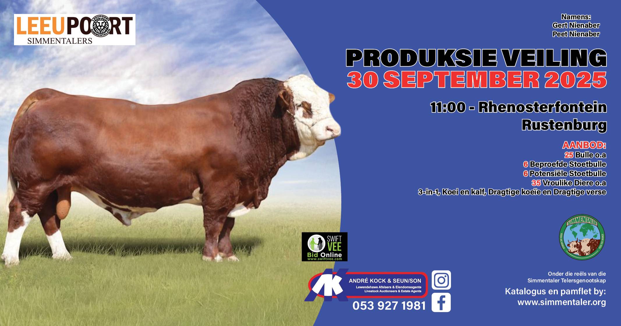 Leeupoort Simmentaler Produksie veiling | 30 September 2025 | 11:00 | Rhenosterfontein, Rustenburg